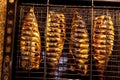 Mackerel fish lying in the grill close-up