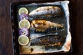 Mackerel Fish with Onions and Lemons in Baking Tray. Royalty Free Stock Photo
