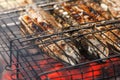 Mackerel fish roast on grill barbecue, bonfire coals with fire Royalty Free Stock Photo