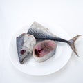 Mackerel Fish & x28;saba fish& x29; on white background Royalty Free Stock Photo