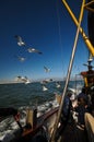 Mackerel fishing on a cutter in the North Sea Royalty Free Stock Photo