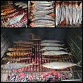 Mackerel fresh fish cooked grill collage barbeque Royalty Free Stock Photo