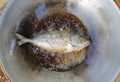 Mackerel fried in frying pan Royalty Free Stock Photo