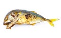 Mackerel frying, Fried mackerel on white background