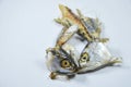 Mackerel head leaf over cat feeding on white background