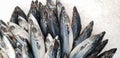 Mackerel on ice in the supermarket. Dead raw frozen Japanese fish called Saba for cooking. Fresh sea saltwater unpacking Royalty Free Stock Photo