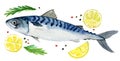 Mackerel with lemon pepper and herbs isolated on white, watercolor illustration