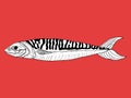 Mackerel line art isolated illustration in vector