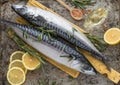 Mackerel Popular seafood. Fresh white sea Mackerel fish cod fillets on a background with lemon ,salt, ingredients for cooking lunc