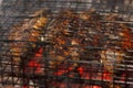 Mackerel roast on grill barbecue, bonfire coals with fire,