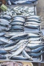 Mackerel scad and other fishes for sale at an outdoor fish stall near the public market