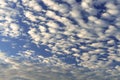 Mackerel sky blue with white puffy clouds background Royalty Free Stock Photo