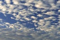 Mackerel sky blue with white puffy clouds background Royalty Free Stock Photo