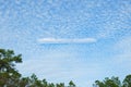 mackerel sky clouds made up of rows of cirrocumulus or altocumulus clouds displaying an undulating, rippling pattern similar in Royalty Free Stock Photo