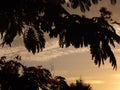 Mackerel Sky at Dusk Royalty Free Stock Photo