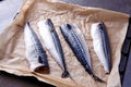 Mackerel uncoocked fillet Royalty Free Stock Photo
