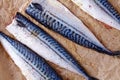 Mackerel uncoocked fillet Royalty Free Stock Photo