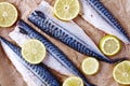 Mackerel uncoocked fillet Royalty Free Stock Photo