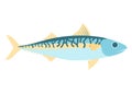 Mackerel vector illustration. Mackerel vector icon illustration. Mackerel isolated on white background. Mackerel