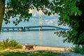 Mackinac Bridge Framed by trees in Mackinac City Park Beach Royalty Free Stock Photo