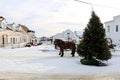 Winter on Mackinac Island, Michigan Royalty Free Stock Photo