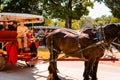 Horse and buggy tours Royalty Free Stock Photo