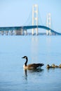 Mackinac suspension bridge Royalty Free Stock Photo