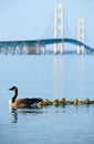 Mackinac suspension bridge Royalty Free Stock Photo