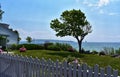 Tree in a Garden overlooking Great Lakes on a windy day with lighthouses in the background Royalty Free Stock Photo