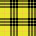 Macleod tartan kilt fabric texture plaid seamless pattern