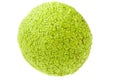 Maclura pomifera Royalty Free Stock Photo