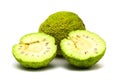 Maclura pomifera fruit on white background Royalty Free Stock Photo