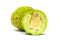 Maclura pomifera fruit on white background Royalty Free Stock Photo