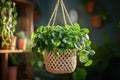 Macrame Plant Hangers with Intricate Knot Patterns