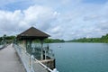 Water flow management system along promenade at MacRitchie Reservoir, one of the main catchment areas in Singapore Royalty Free Stock Photo