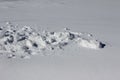 Macro abstract art background of soft white snow