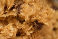 Macro Abstract Background of Oatmeal Chocolate Chip Cookie Dough Batter