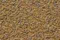 Macro abstract background of sand paper texture Royalty Free Stock Photo