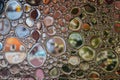 Macro abstract bubbles background. Glass surface with rain drops. Royalty Free Stock Photo