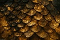 Dark Golden Dragon or Serpent Scale Texture Royalty Free Stock Photo