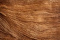 Natural Wood Texture Macro Abstract Nature Background Backdrop Forest Surface Wallaper