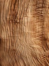 Natural Wood Texture Macro Abstract Nature Background Backdrop Forest Surface Wallaper