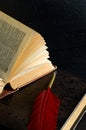 Macro of Antique Books with Red Fountain Pen Royalty Free Stock Photo