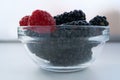 Macro assorted berries in glass transparent small bowl