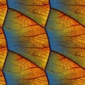 Macro autumn foliage. Blue and yellow leaf texture close up. AI generative illustration