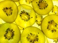 Macro back lit abstract texture of yellow and green kiwi slices Royalty Free Stock Photo