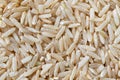 A macro background texture portrait of a pile of uncooked raw hard whole rice grains. The food is ready to be boiled and cooked as