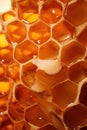 Macro background yellow nature sweet honeyed background honeycomb