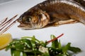 macro baked trout served with salad, lemon and sauce