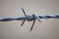 Macro barbed wire with ice Royalty Free Stock Photo